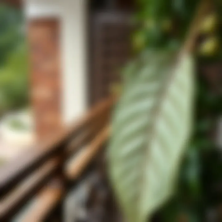 Traditional balcony fence leaf showcasing craftsmanship