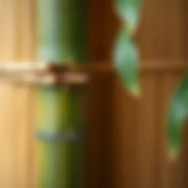 Close-up of bamboo texture highlighting eco-friendly materials