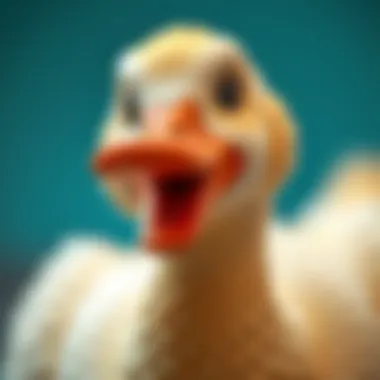 Notable Bebek Halısı Oyun: Fonksiyonu ve Tasarımı Üzerine Derinlemesine Bir İnceleme