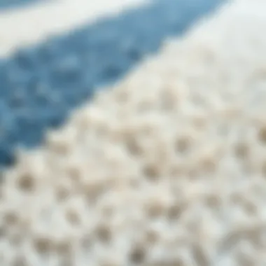 Close-up view of the texture of a white and blue carpet