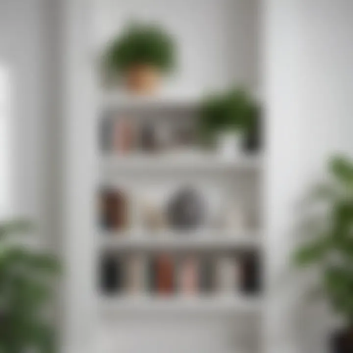 Stylish white bookshelf filled with books and plants