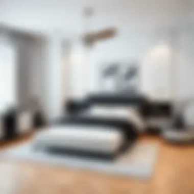 Contemporary black and white color palette in bedroom