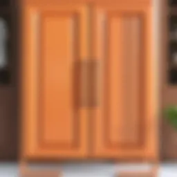 A beautifully finished cabinet door showcasing vibrant colors