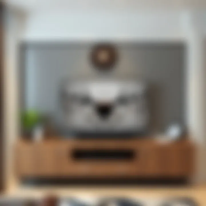 Decorative elements enhancing the aesthetics of a TV unit