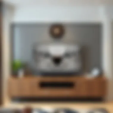 Aesthetic Decor Enhancements for TV Units Decorative elements enhancing the aesthetics of a TV unit