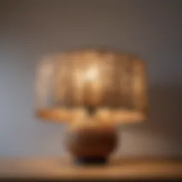 A beautifully designed lampshade crafted from natural materials.