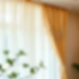 Elegant French lace curtain draping over a window