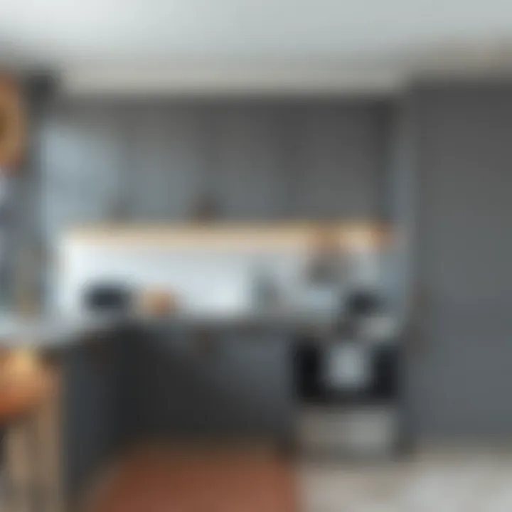 Trendy grey kitchen cabinets in contemporary interior