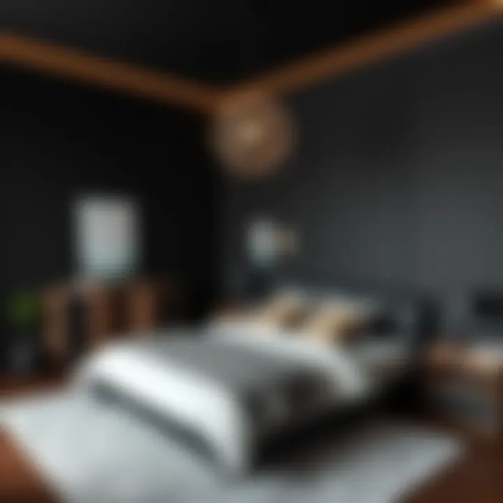 Inspiring decor ideas for a matte black bedroom