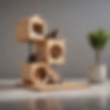 Modern Aesthetics of Cat Houses Elegant cat house design showcasing modern aesthetics