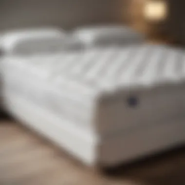 Comparison of various mattress types and their price ranges