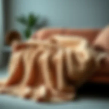 Luxurious Plush Blanket Luxurious plush blanket draped over a modern sofa