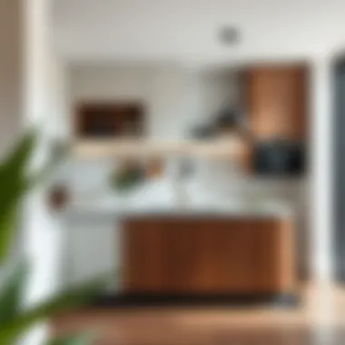 Innovative Designs for Enhanced Functionality Innovative designs enhancing functionality in small kitchens