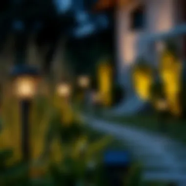 Elegant solar garden lights illuminating a pathway