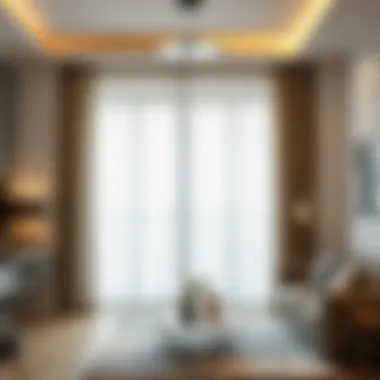 Versatile Tulle Curtains Versatile tulle curtains adding functionality to spaces