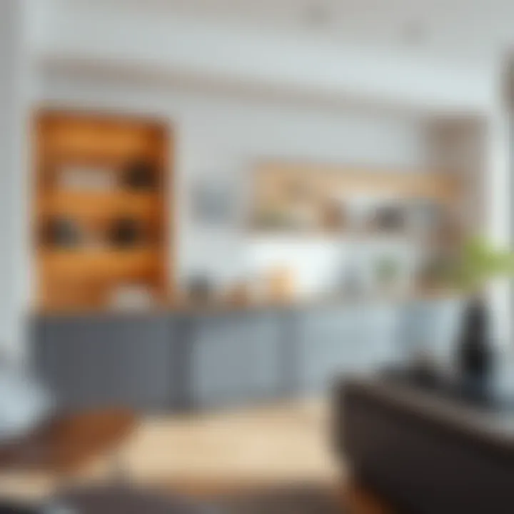 Balance of functionality and aesthetics in long shelf cabinets