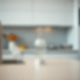 Elegant adhesive liquid soap dispenser in modern kitchen setting