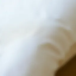 A close-up view of a high-quality pillow protector showcasing its fabric texture.